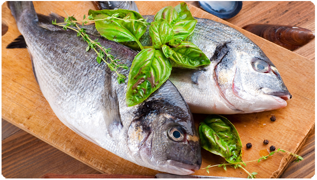 Seafood Restaurant